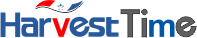 company name